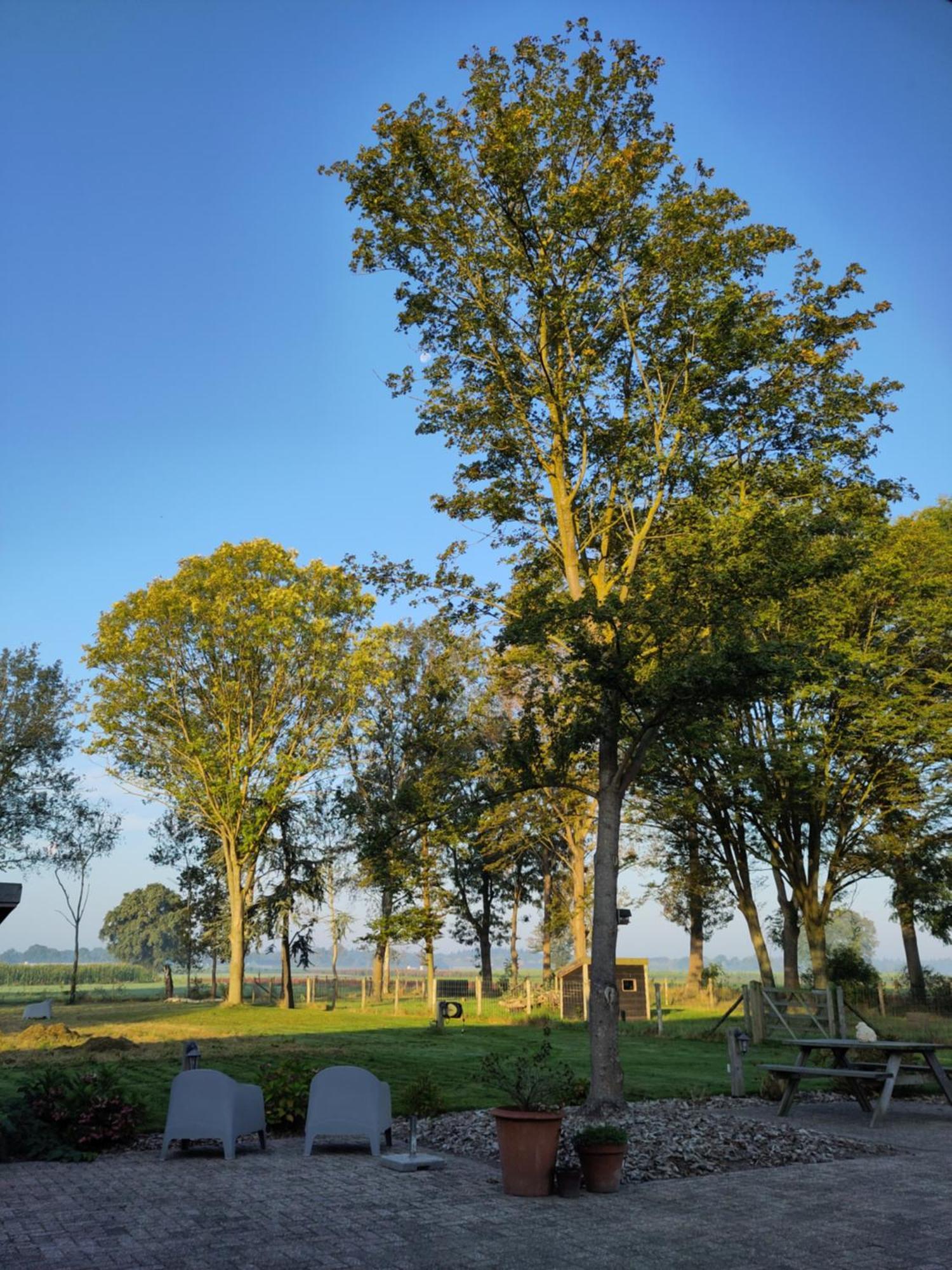 'T Voske Bed & Breakfast Zundert Екстериор снимка
